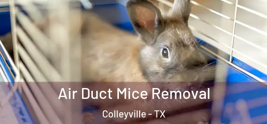 Air Duct Mice Removal Colleyville - TX