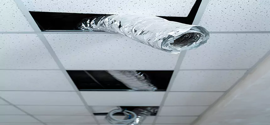 Our Air Duct Pet Hair Removal Services in Colleyville, TX