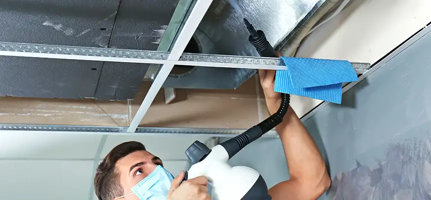 Our Air Duct Rodent Removal Services in Colleyville, TX