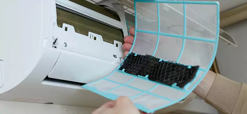 Gentle Ductwork Odor-Control Pet Dander Duct Cleaning in Colleyville, TX