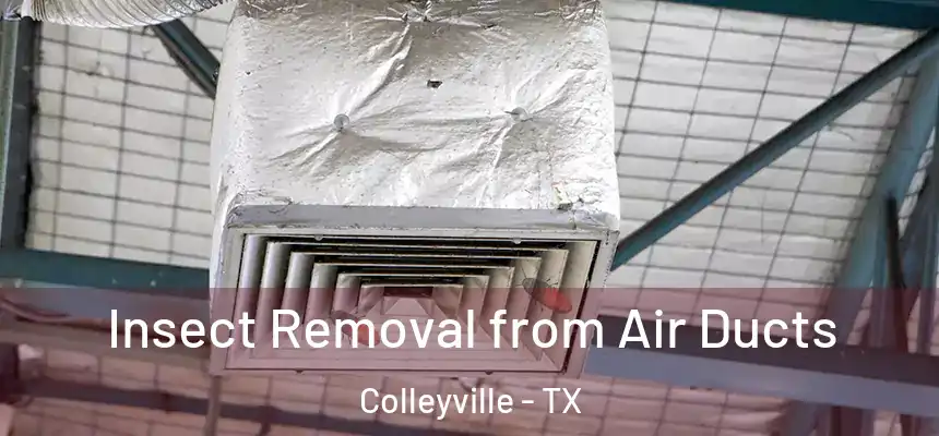Insect Removal from Air Ducts Colleyville - TX