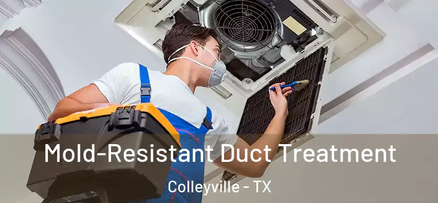 Mold-Resistant Duct Treatment Colleyville - TX