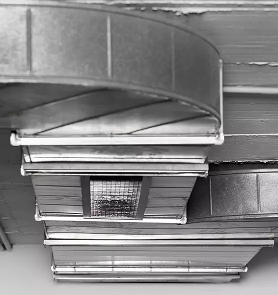 Professional Air Duct Pest Removal in Colleyville, TX