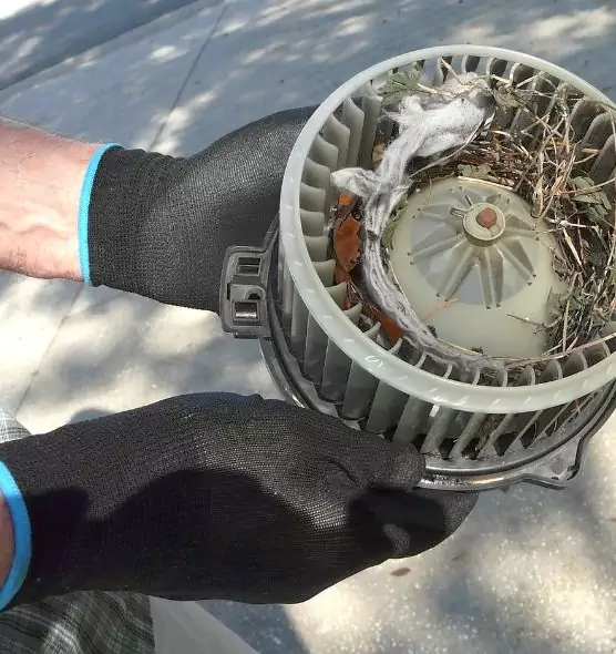 About Air Duct Rat Removal in Colleyville, TX