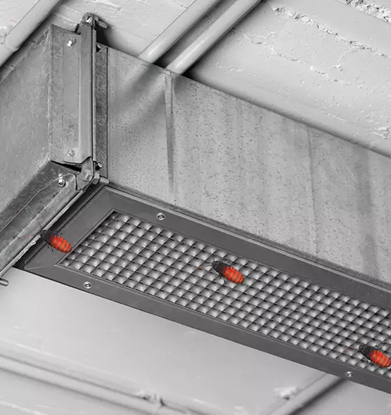 Affordable Insect Removal from Air Ducts in Colleyville, TX