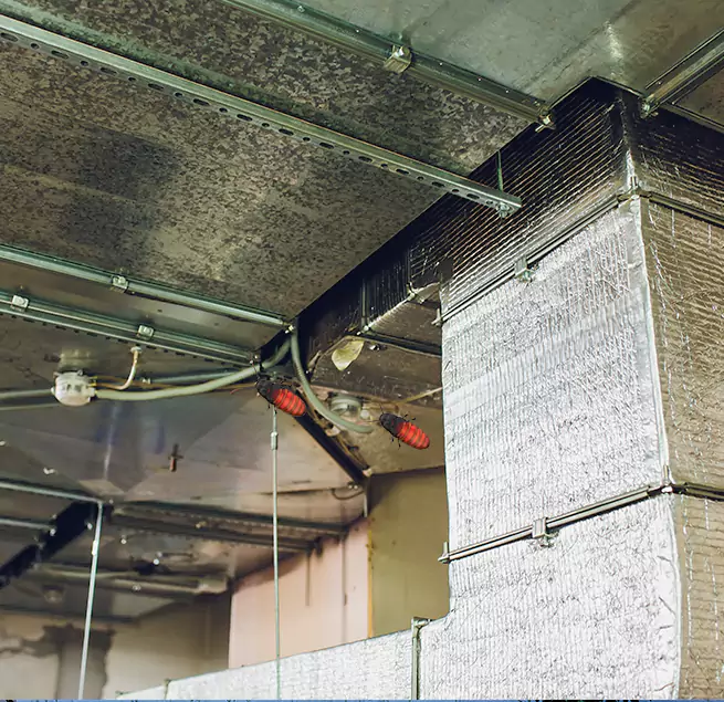 Why Homeowners & Businesses Trust Us Colleyville, TX?